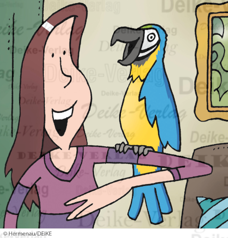 Papagei als Haustier