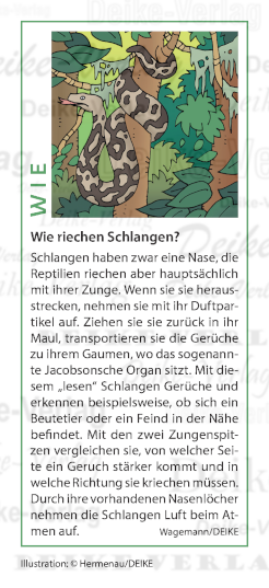 Wie riechen Schlangen?