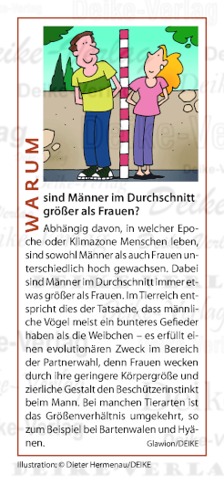 Warum sind Männer im Durchschnitt
größer als Frauen?