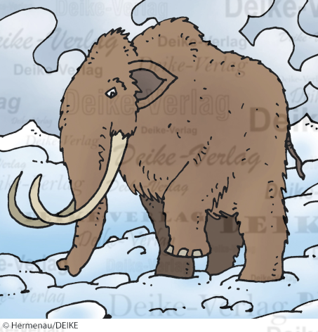 Mammut