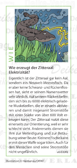 Wie erzeugt der Zitteraal Elektrizität?