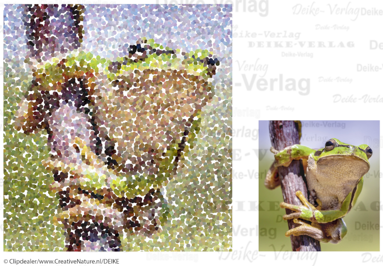 Laubfrosch - Fotorätsel