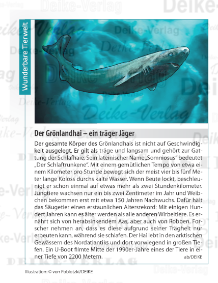 Der Grönlandhai - ein träger Jäger