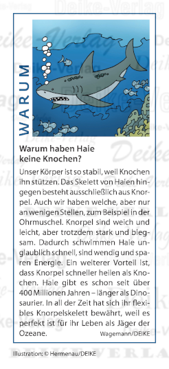 Warum haben Haie keine Knochen?