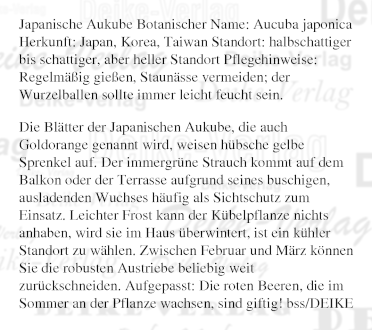 Garten und Pflanzen: Japanische Aukube 
