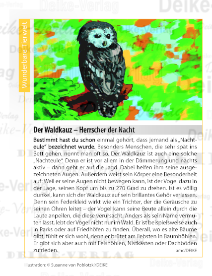Der Waldkauz