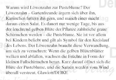 Warum wird Löwenzahn zur Pusteblume?