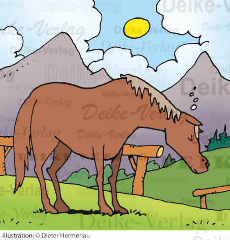 Pferd