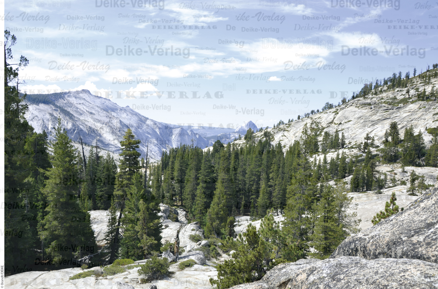 Yosemite National Park - Olmsted Point