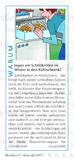 Warum legen wir Schildkröten im Winter in den Kühlschrank?