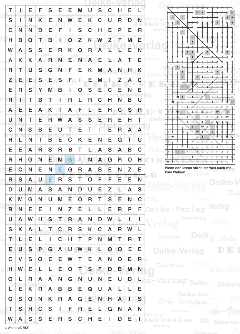Tiefsee - Buchstabensalate