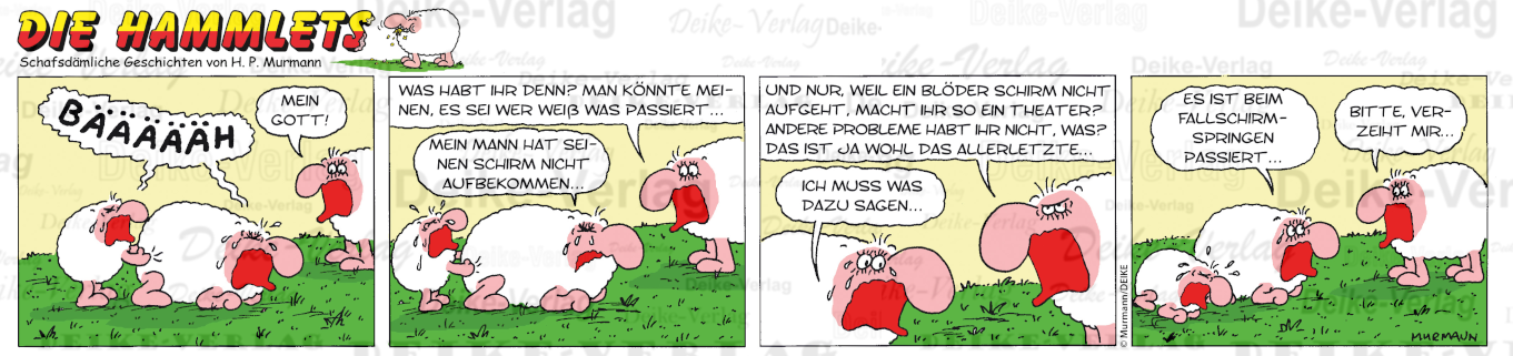 Schirm konnte nicht geöffnet werden - Hammlets