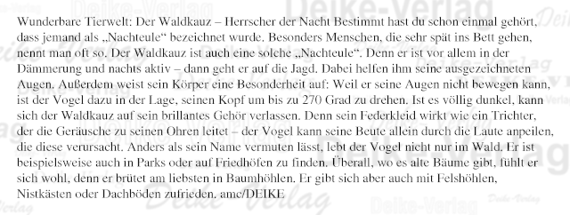 Wunderbare Tierwelt: Der Waldkauz