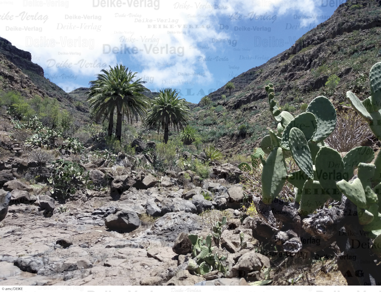 La Gomera 3 