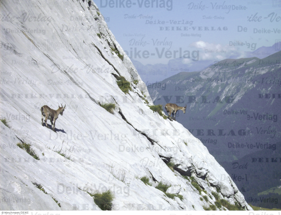 Frankreich - Col de la Colombière