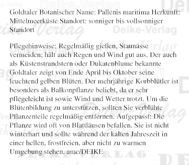 Garten und Pflanzen: Goldtaler