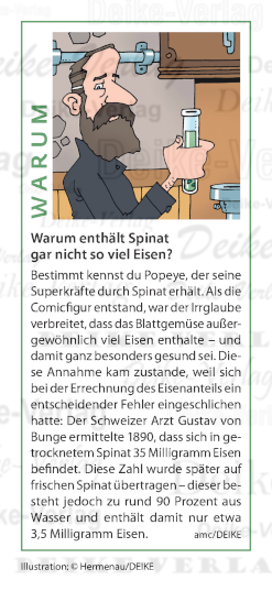 Warum enthält Spinat gar nicht so viel Eisen?