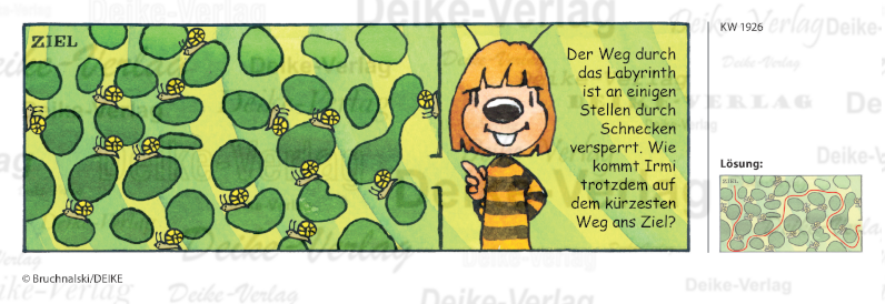 Schneckenlabyrinth - Irmi die Rätselbiene KW 1926