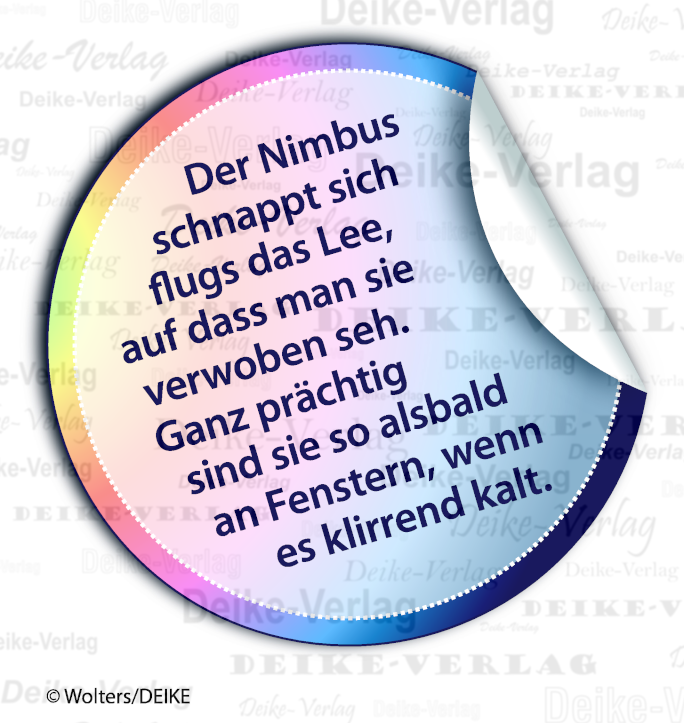 Eisblumen - Reimrätsel