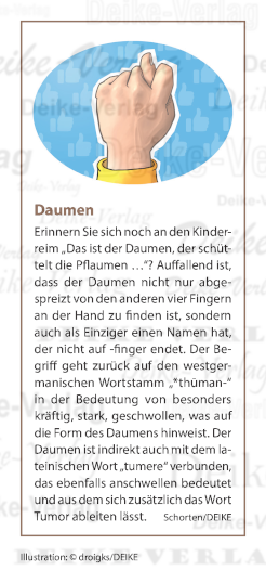 Daumen