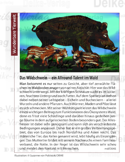 Das Wildschwein