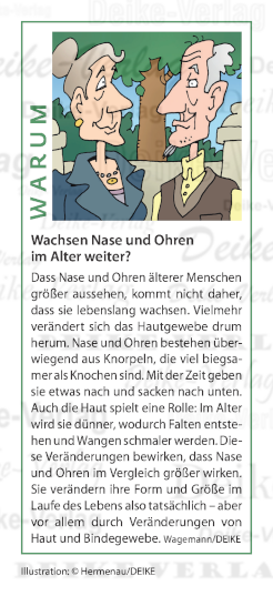 Wachsen Nase und Ohren im Alter weiter?