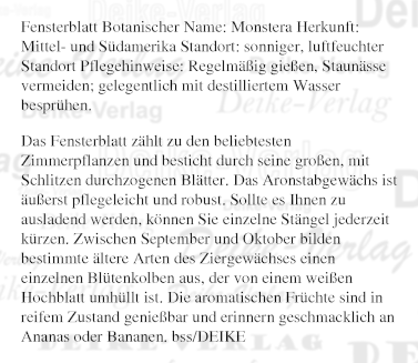 Garten und Pflanzen: Fensterblatt 