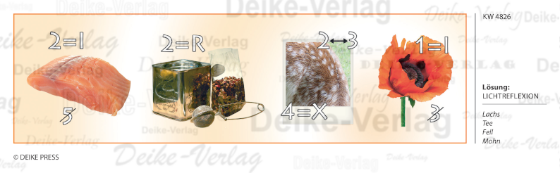Lichtreflexion - Rebus KW 4829