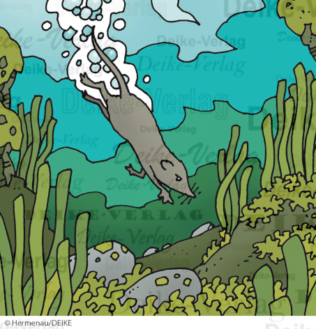 Wasserspitzmaus
