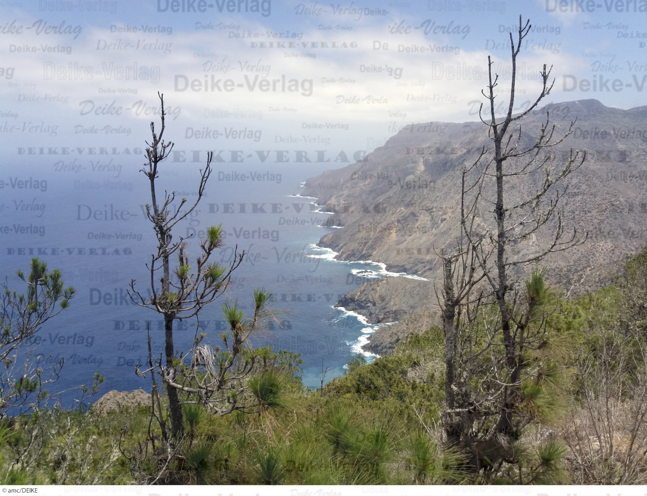 La Gomera 4  