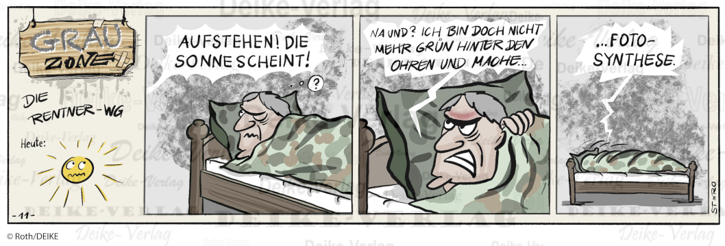 Fotosynthese - Grauzone KW 1121