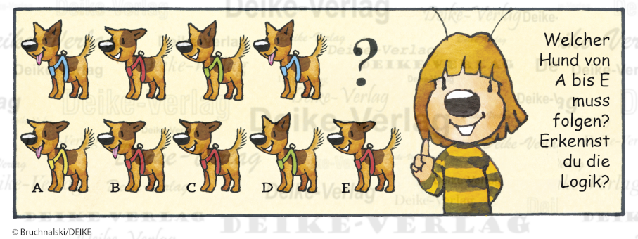 Hundeschule - Irmi die Rätselbiene KW 3426