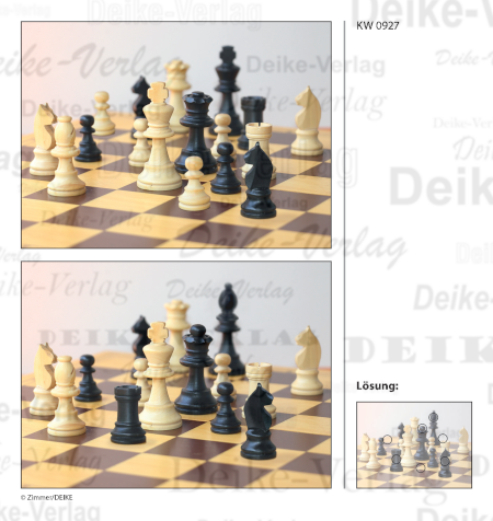 Schach - Fehlerbilder KW 0927