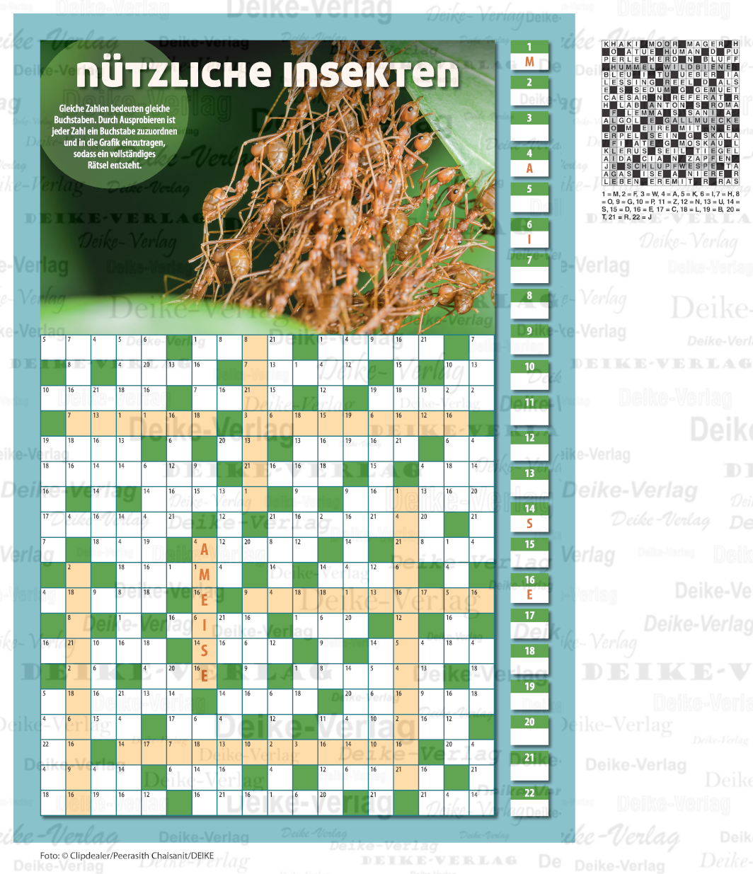 Nützliche Insekten (Zahlenkreuzworträtsel)