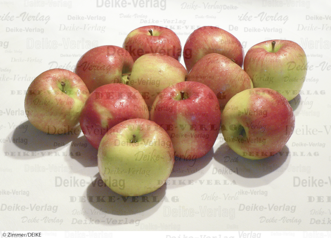 Äpfel 