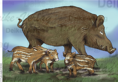 Das Wildschwein
