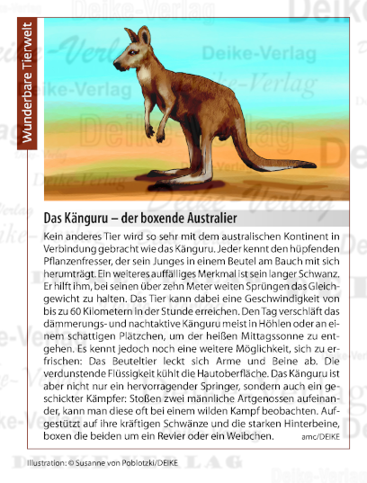 Das Känguru