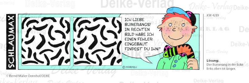 Fehlerbild - Schlaumax KW 4219