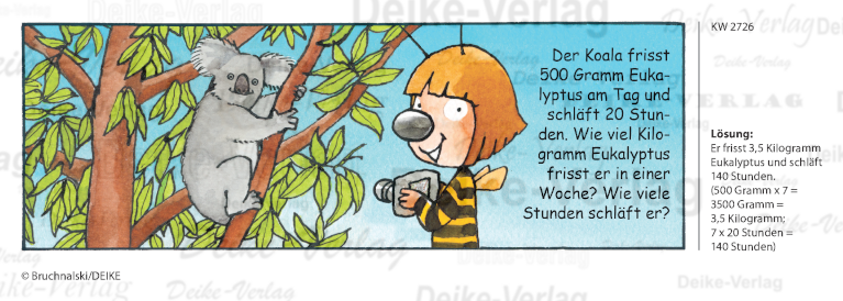 Koala - Irmi die Rätselbiene KW 2726