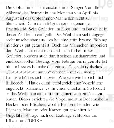 Der Goldammer