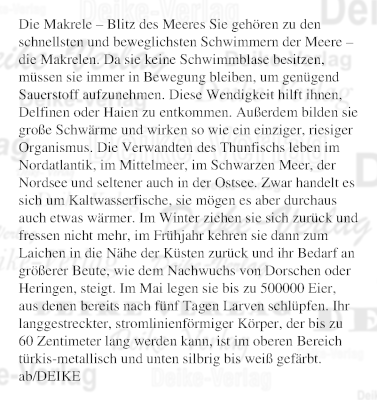 Die Makrele – Blitz des Meeres
