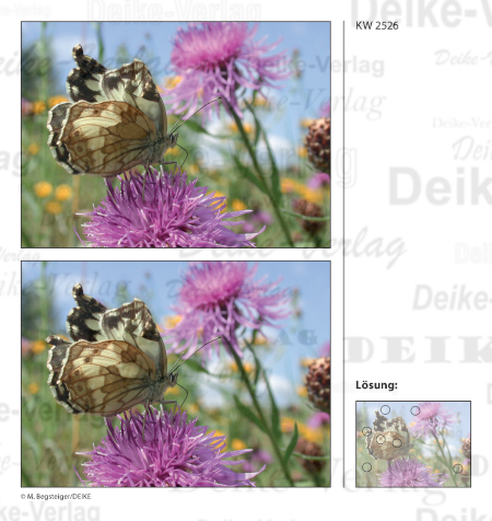 Schmetterling - Fehlerbilder KW 2526