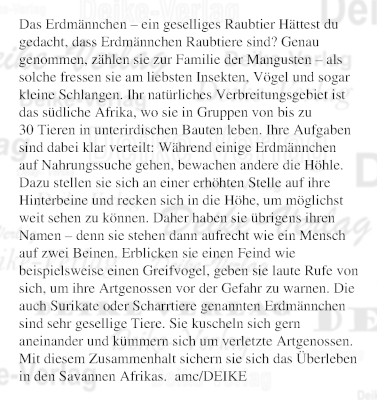 Das Erdmännchen – ein geselliges Raubtier