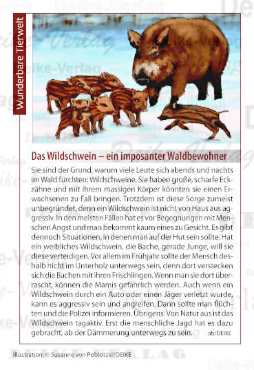 Das Wildschwein