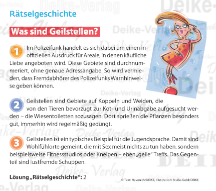 Geilstellen - Rätselgeschichte