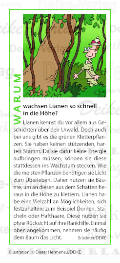 Warum wachsen Lianen so schnell in die Höhe?