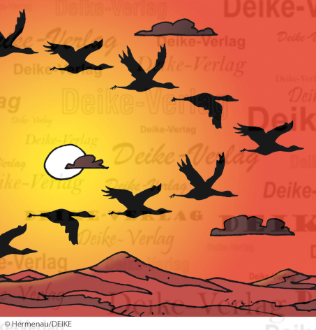 Vogelflug