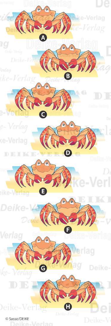 Krabbe - Paare finden
