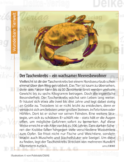 Der Taschenkrebs