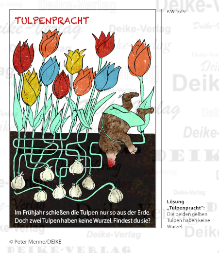 Tulpenzwiebeln - Max der Maulwurf